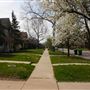 Mesta Park Historical Home