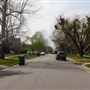 Mesta Park Historical Home