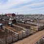 Oklahoma National Stockyard Exchange