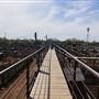 Oklahoma National Stockyard Exchange
