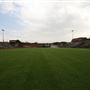 Jelsma Stadium aka The Rock
