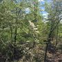 Hunt Mill Hollow Ranch