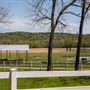 E 730 Rd Landscape