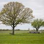 N 460 Rd W 678 Rd