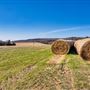 Meadow Lake Ranch