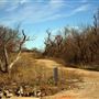 Lake El Reno