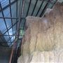 3 Bell Ranch