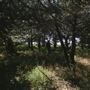 Rydell Ranch
