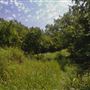 Rydell Ranch