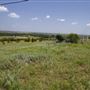 Rydell Ranch
