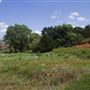 Rydell Ranch