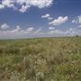 Rydell Ranch