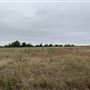 Ward Ranch