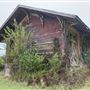Ward Ranch