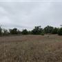 Ward Ranch