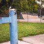 Glenwood Skate Park