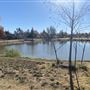 Cecil Mendenall Library Park
