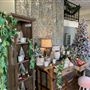 Tautfest Home Design Center