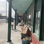 Bear Claw Bakery and Cafe