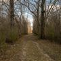 Deep Fork National Wildlife Refuge