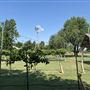 Nellis Vineyards