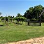 Nellis Vineyards