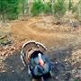 Collinsville Lake Mountain Biking & Hiking Trails