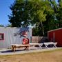 McKinney Seasonal Christmas Tree Farm & Pasture