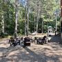 Paradise in the Pines