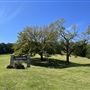 Chandler Park