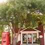 Historic Campus Corner - Norman