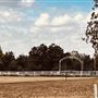 Tipton Horse Ranch