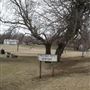 Precious Pets Cemetery