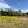 Tipton Backlot