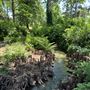 Will Rogers Gardens