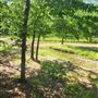 Creekside RV Park