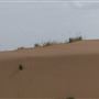 America's Oasis