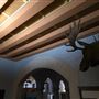 Northwestern Oklahoma State University Museum