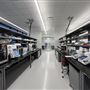 Innovation Lab