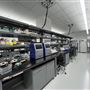 Innovation Lab