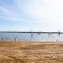 RC Longmire Lake