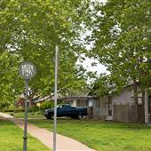 Mesta Park Historical Neighborhood