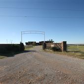Taylor Ranch