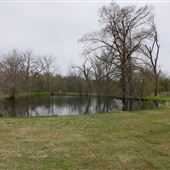 Enchanted Ranch
