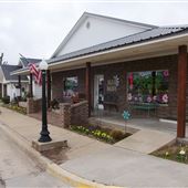 Blue Daisy Gift and Florist