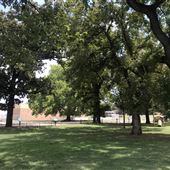 Tilghman Park