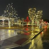 Redbud Festival Park
