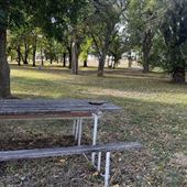 McCoy Park