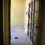Upstairs Apartment 208