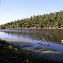 Camp Hale Scout Reservation